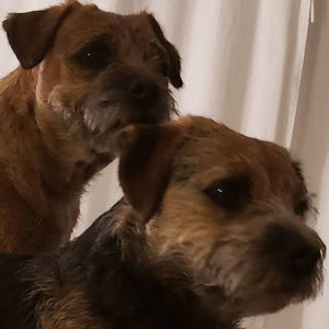 Meet your Posher, Craig & linda